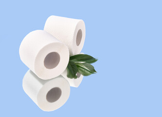Rolls of white soft toilet paper and green fresh leaves. Copy space for text.