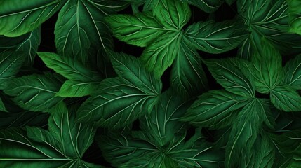  a close up of a bunch of green leaves on a black background with space for a text or a logo on the bottom right corner of the image. - obrazy, fototapety, plakaty