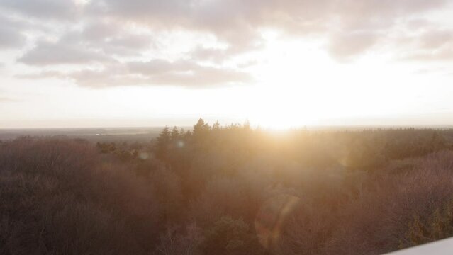 A sunset during golden hour in a forest seen from a viewpoint