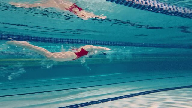 Speed and endurance. Young woman, professional swimming athlete in motion, training, swimming in pool. Concept of pool sports, water sport, competition, active lifestyle