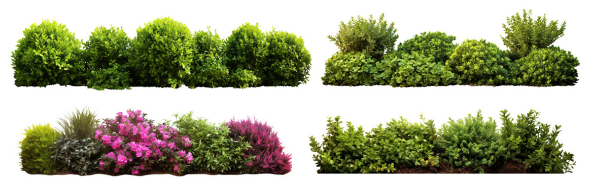 Set of lush garden bushes cut out