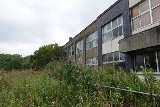 abandoned old school reclaimed by nature