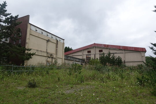 abandoned old school reclaimed by nature
