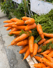 Fresh carrots being sold by vendor along roadside
