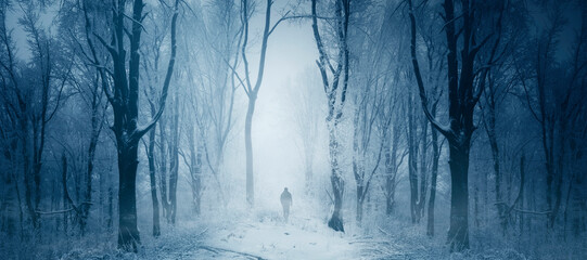 fantasy winter forest landscape with man silhouette