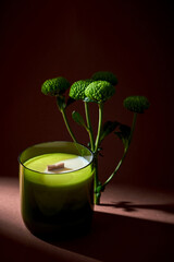 A minimalist composition of a candle in a jar and a flower on a dark brown background. Aesthetic light