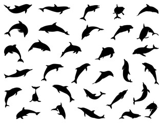Dolphin silhouette vector art white background