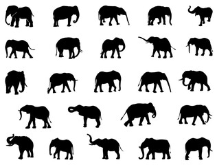 Elephant silhouette vector art white background