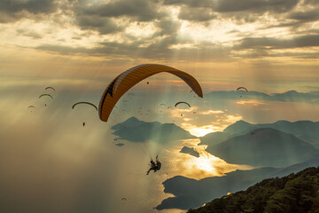paraglider over the sunset