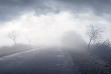 Fototapeta na wymiar Thick fog in spring on asphalt road, trees in fog