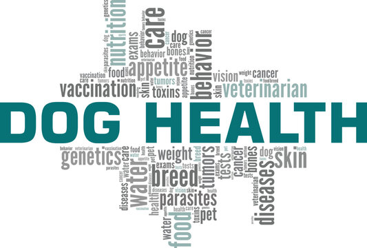 Dog Health word cloud conceptual design isolated on white background.