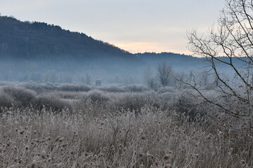 Palude all'alba d'inverno
