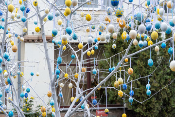 Colorful handmade egges for easter in branches outdoor. Decorating trees with hanging eastereggs in...