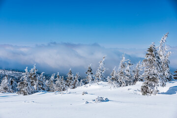 Winter mountain sunny landscape with snow covered trees, clouds and blue sky