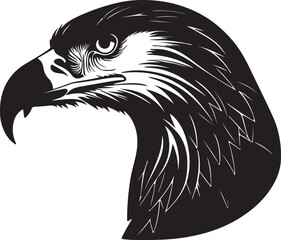 Eagle head silhouette, Vector artwork of Eagle head.