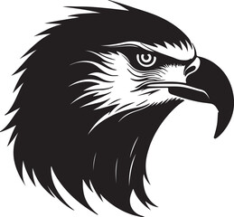 Eagle head silhouette, Vector artwork of Eagle head.