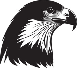 Eagle head silhouette, Vector artwork of Eagle head.