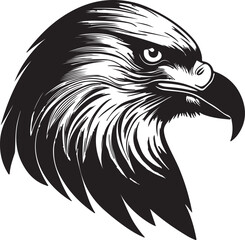 Eagle head silhouette, Vector artwork of Eagle head.