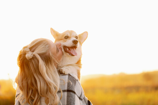  Owner holds and kisses a cheerful Welsh Corgi dog, looking at it lovingly, at sunset. Friendship between man and dog.