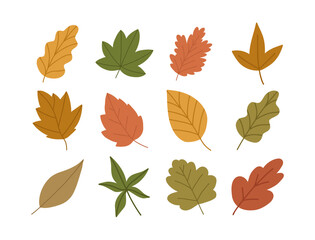 Set of hand drawn autumn leaves, cartoon flat vector illustration isolated on white background. Cute collection of fall foliage. Concepts of nature and plants.