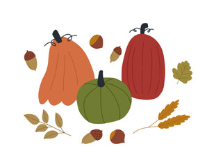 Cute pumpkins with acorns, chestnuts and autumn leaves - cartoon flat vector illustration isolated on white background. Seasonal autumn composition. Hand drawn autumn decorations.