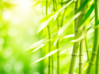 Fototapeta na wymiar Abstract blur bamboo forest with sunligh ai image 
