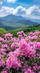 Obraz premium Pink Flowers in a Field With Mountain Backdrop, Serene Nature Landscape