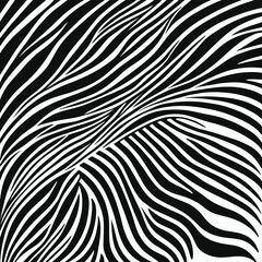 Zebra pattern stripes texture illustration