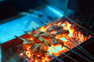 Grilled chicken kebab cooking on a metal skewer. Roasted meat cooked at barbecue. BBQ fresh chicken...