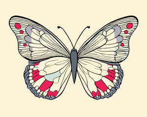 Vintage elegant illustrations of butterflies