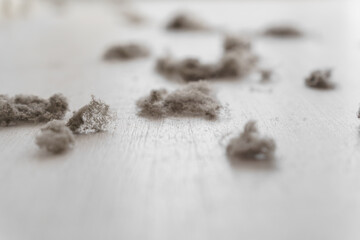 House Dust and Home Dirt on a White Floor. Dirty Floor under Bed. Colonies of Dust Bunnies Underneath. Untidiness House