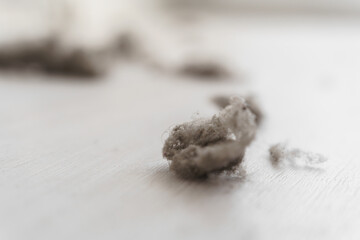 House dust on white floor. House Dust Mite and Home cleaning, Hygiene Problem