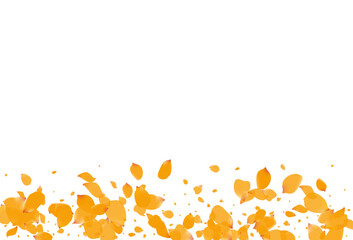 Fototapeta premium Beautiful Peach Fly Vector White Background.