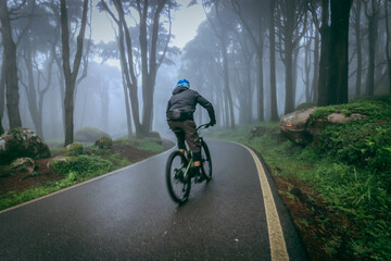 cyclist riding a mountain bike in a asphalt road in foggy forest - 710905629