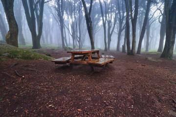 Foggy forest and a picnic table