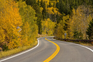 Autumn Mountain Road - A mountain road winding through a colorful Autumn forest. Mount Blue Sky Scenic Byway, Idaho Springs, Colorado, USA.