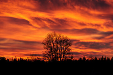 Colourful sunrise with glowing red clouds on a winter's day over the meadows and forests of Siebenbrunn, the smallest district of the Fugger city of Augsburg