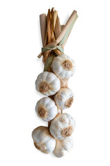 String of fresh garlic isolated on white or transparent background
