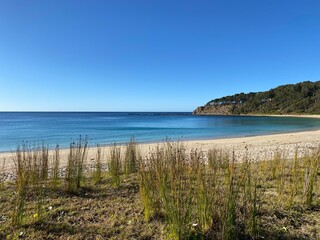 Fototapeta na wymiar Island beach. View of bay, sand, waves, tall grass and coastline. Landscape near the ocean.