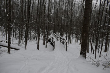 Camping Station Chêne Rouge 7 Au 12 Janvier 2024
