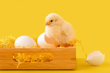 Wooden box with cute little chick and eggs on yellow background