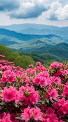Obraz premium Serene Pink Flowers and Majestic Mountains in a Spacious Field