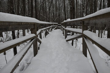 Camping Station Ch&ecirc;ne Rouge 7 Au 12 Janvier 2024