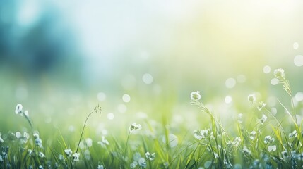 Abstract spring or summer background with fresh grass, Outdoor nature banner. Copy space, artistic image with a bokeh, illustration - obrazy, fototapety, plakaty