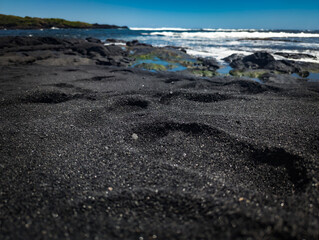 Punaluu Black Sand Beach Hawaii