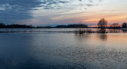 Evening landscape, flood, river flood at sunset, countryside flooded by spring flood