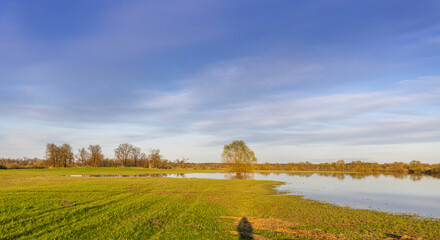 Fototapeta premium Field during spring flood, river flood