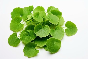 Green leaves of centella asiatica on white background. Generative AI