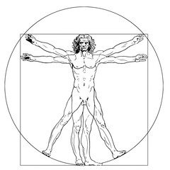 Homme de Vitruve - Da Vinci - obrazy, fototapety, plakaty