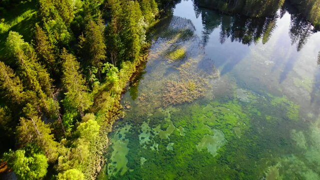 Drohnenflug &uuml;ber dem See mit Wald und Bergen